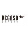 PEGASO